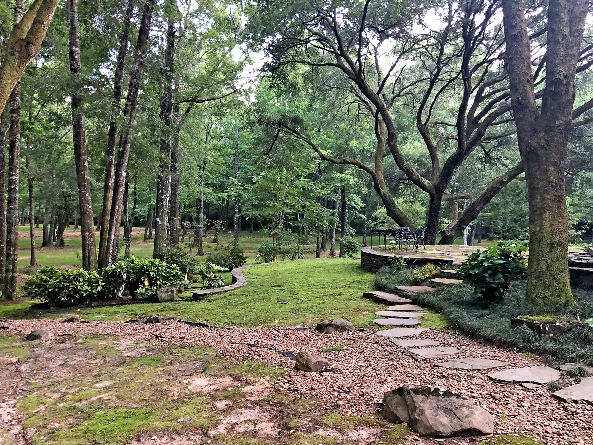 Middle Field